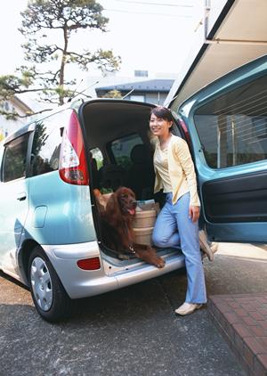 自動車の車検の依頼先に最適です