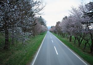 できるだけおとくな車検の依頼を決めよう